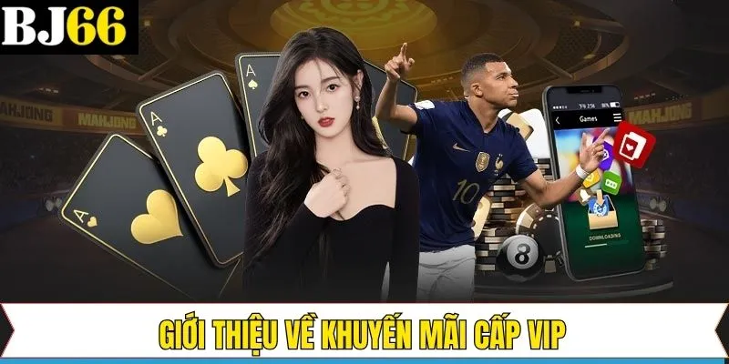 Trình bày toàn diện về chương trình ưu đãi VIP
