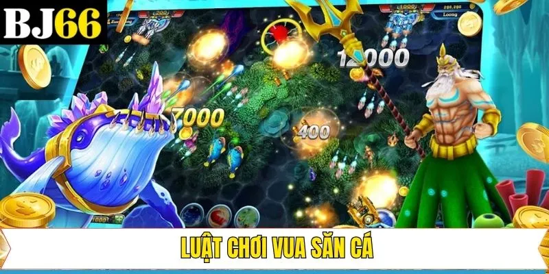 Luật tham gia game vua săn cá Bj66 nên nắm