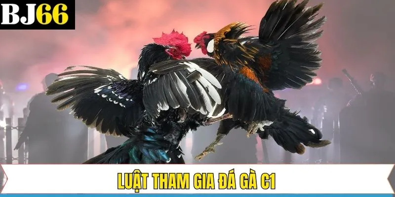 Luật chơi cùng phương pháp thi đấu trong chọi kê C1