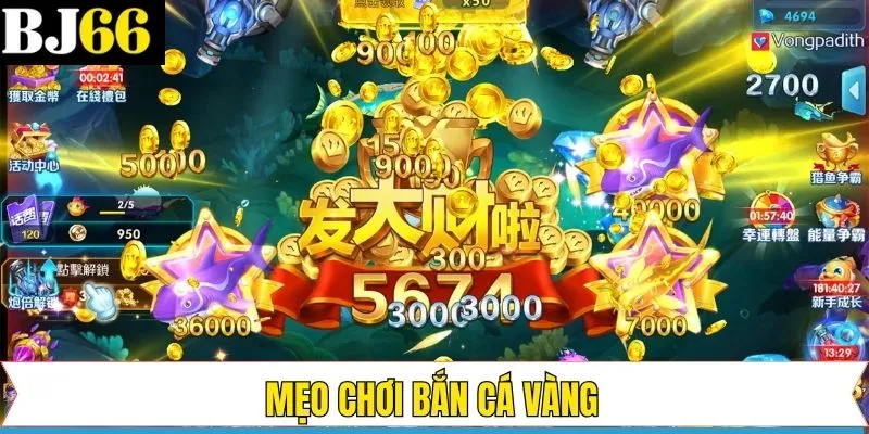 Kỹ thuật săn cá vàng hữu ích cho ngư thủ